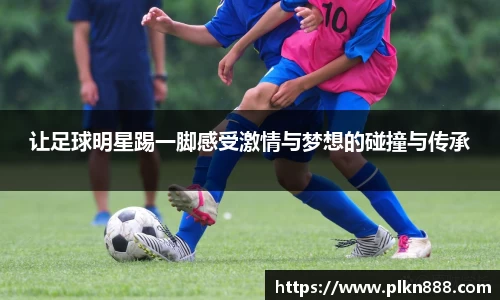 贝博BB艾弗森官网