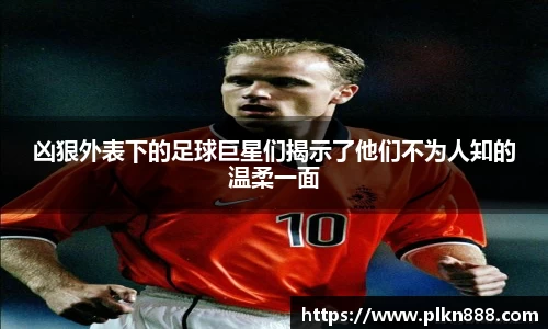 贝博BB艾弗森官网