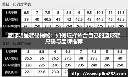 BB贝博官方网站