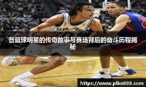 BB贝博官方网站